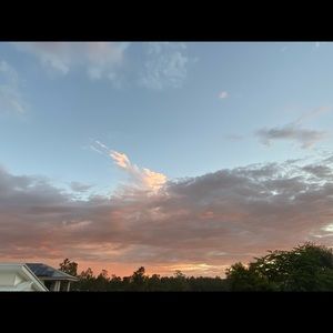 Meet your Posher, Baylee